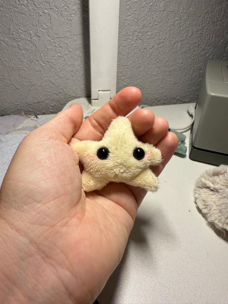 Image of Tiny star yellow 2