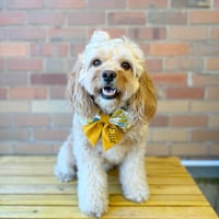 Image 3 of PERSONALIZED EMBROIDERED SUNFLOWER BOW