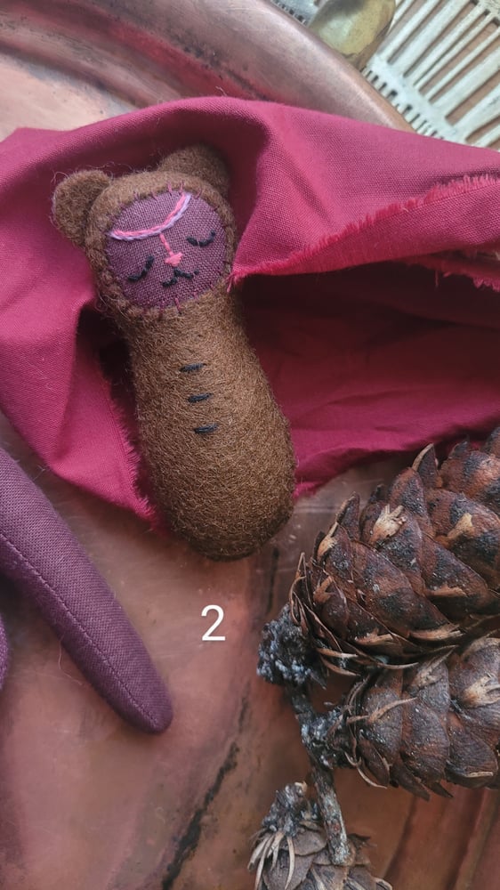 Image of Dreaming Winter Bears