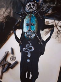 Image 5 of Lilith II coyote skull alter piece 