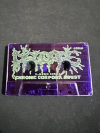 Image 4 of DISGORGE -"Chronic Corpora Infest"