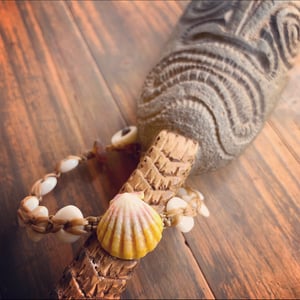 Image of Hawaiian sunrise shell with puka shell bracelet size 6 3/4