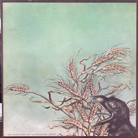 Image 2 of Grateful Dead - Wake Of The Flood