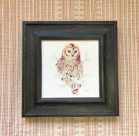 Image 2 of Barred Owl Print 🦉