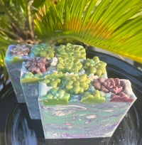 Image 2 of Succulent Garden