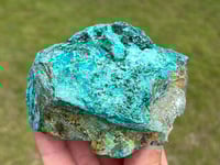 Image 5 of Atacamite Specimen #2334