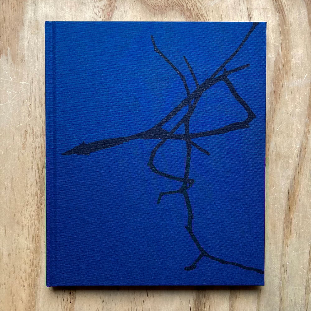 Dominic Turner - False Friends (Signed)