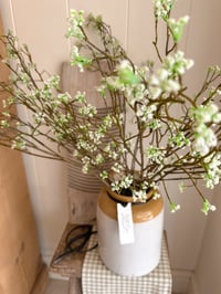 Image 2 of White Ditsy Branches ( Set of 6 )