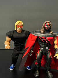 Image 3 of WE Superstars lot