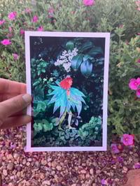 Image 1 of 🧚‍♀️Auburn Pathos Fae-  Fine Art Print
