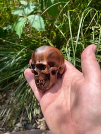 Image 1 of large Lignum Vitae Skull