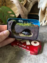 Image 2 of Mini pair of spring badgers, vintage tin diorama 