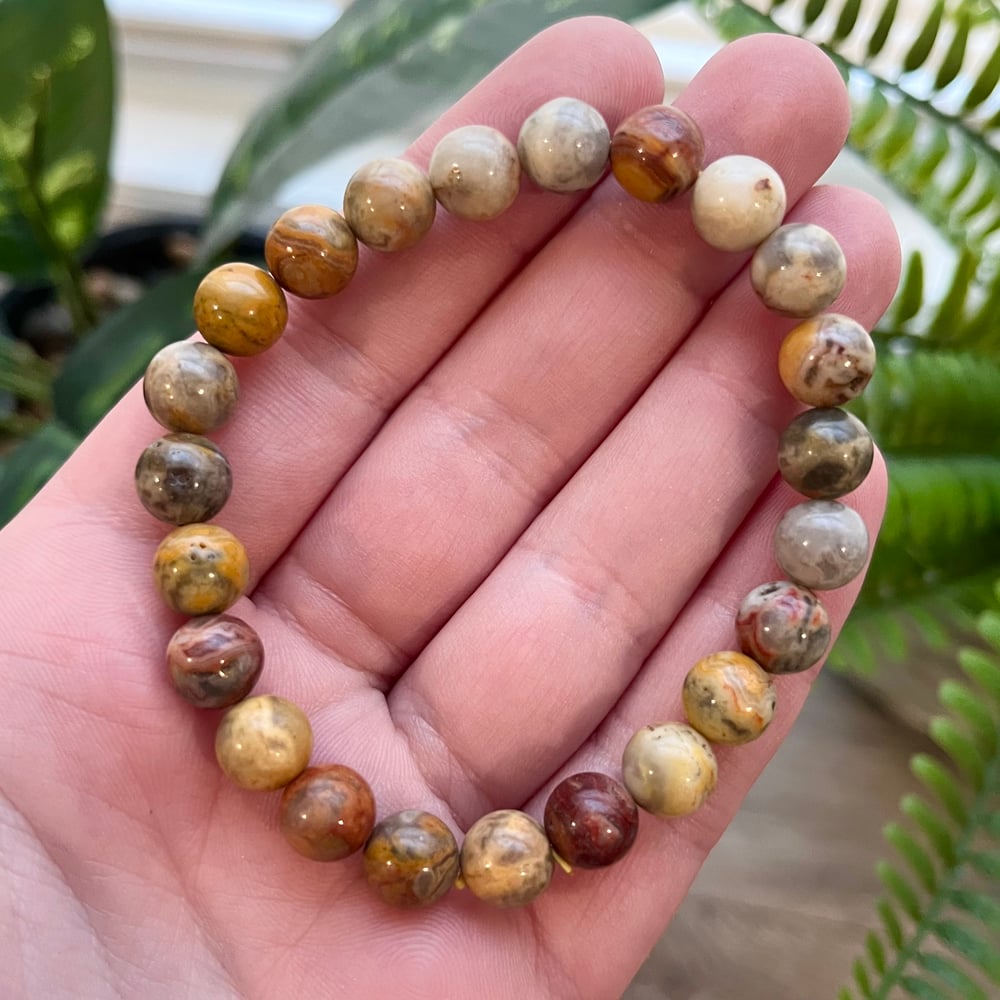 Crazy Lace Agate Bracelet