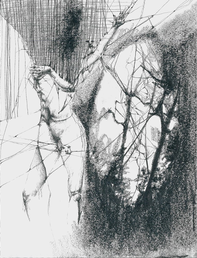 Image of untitled (print)