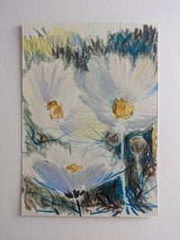 Bloom no. II