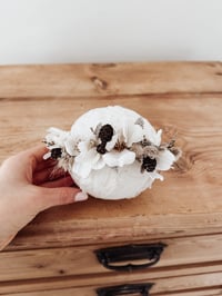 Image 2 of little star