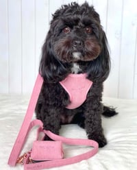 Image 4 of MILANO CORDUROY HARNESS - DUSTY PINK