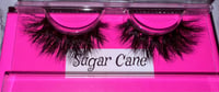 Sugar cane
