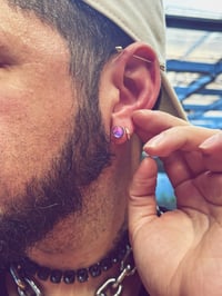 Image 2 of Lux Captus Crystal Studs 