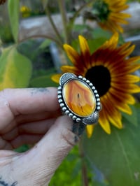 Image 5 of Golden Hour Agate Ring~9.25/9.5