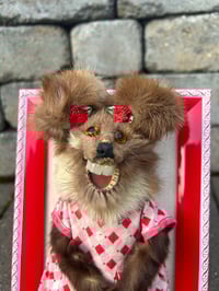 Image 2 of Who Framed Minky 