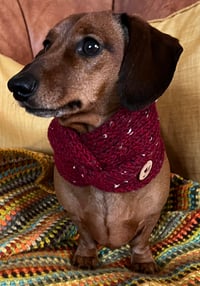 Image 1 of Snazzy Twisted Neck Warmer 