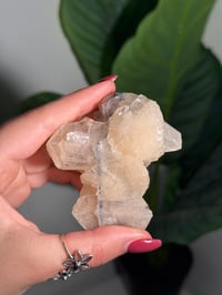 Image 2 of BOWTIE STILBITE X DIAMOND APOPHYLITE -INDIA- A