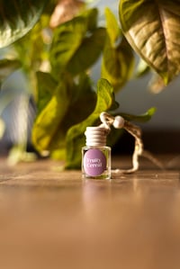 Image 3 of Luxury Car Diffuser