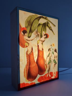 Image of Renacimiento.