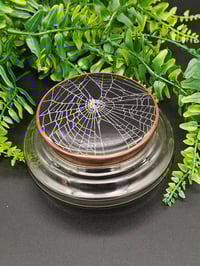 Image 1 of Vintage decorative glass Jar with  Real Preserved Web A