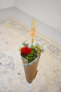 Image 4 of Rosa de Sant Jordi - La nostra preferida