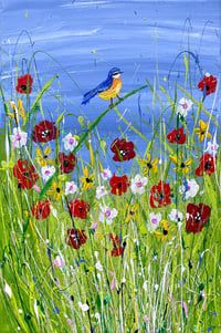 Image 1 of Blue Tit in the Poppies