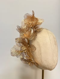 Image 3 of Gold orchids.