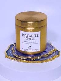 Image 1 of Pineapple Sage