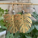 Image 1 of Dalmatian Jasper Monstera Earrings 