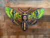 Death Moth carving