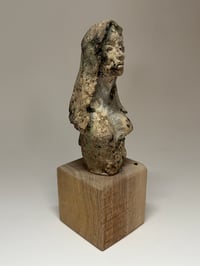 Image 2 of “Lily”