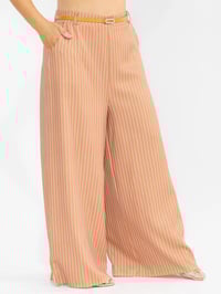 Image 2 of Rust Orange Palazzo Stripe Pant