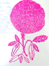 Image 1 of Pink Rose