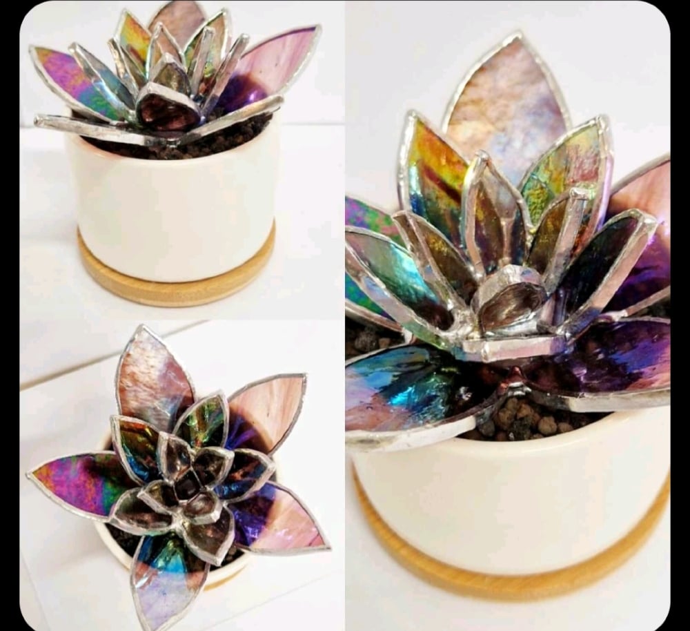 Image of Special Listing for Carol Crerar
