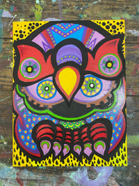 Image 1 of Sun Dripped Owl