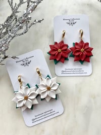 Image 6 of Poinsettias