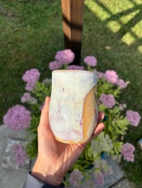 Image 4 of Pink Pitbull 