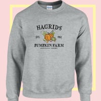 Image 1 of Hagrid's Pumpkin Farm