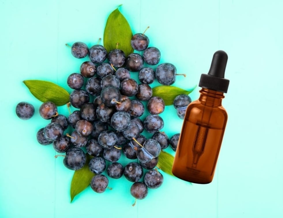 BLUEshea! BLUEskin! Anti-Aging Blueberry Seed Oil & Butter w/Shea. SPF4-UV-BLUE LIGHT defense.