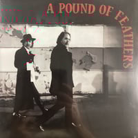 Black Crowes - A Pound Of Feathers 