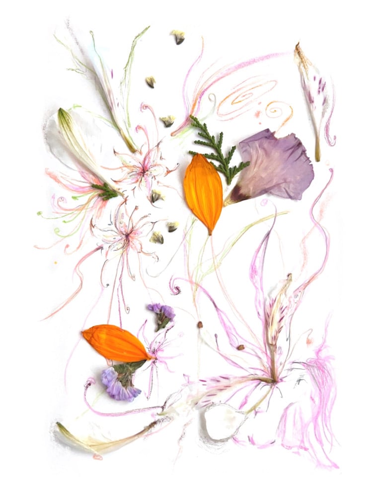 Pressed Flowers Print