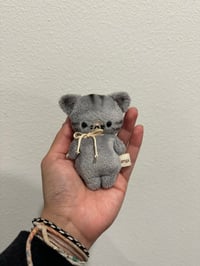 Mini Grey Tabby