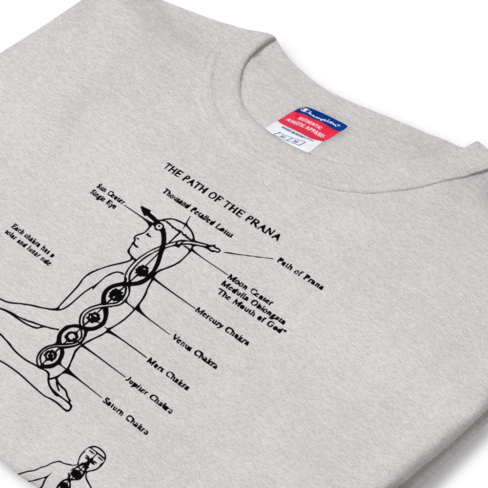 Prana T-Shirt