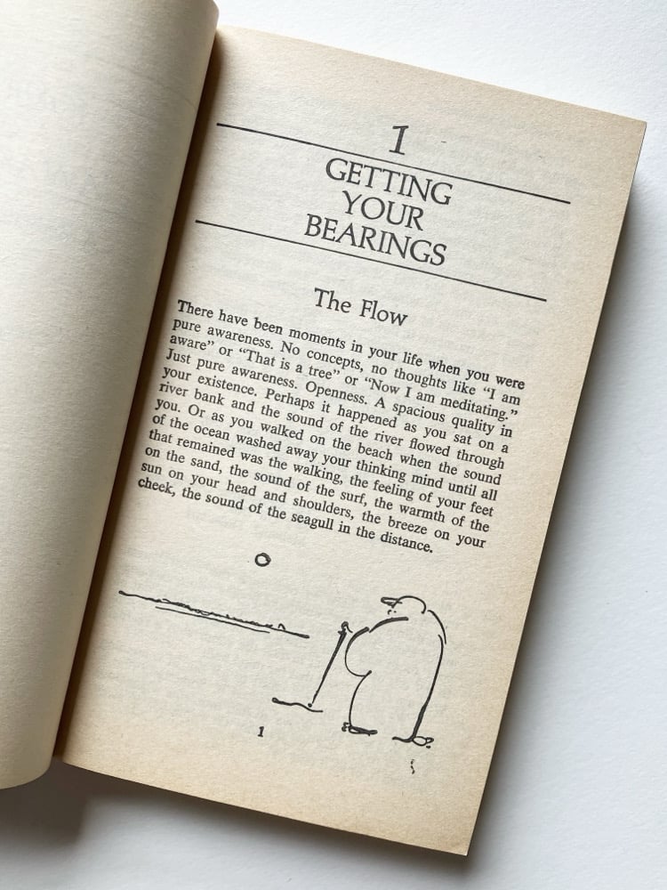 Journey of Awakening: A Meditator's Guidebook Image 3